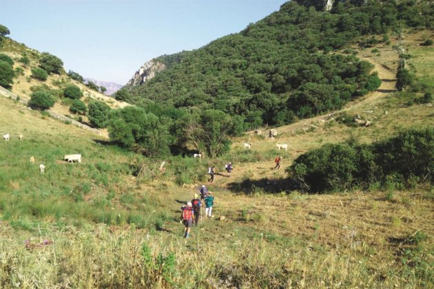 Dai cammini francigeni in Sicilia alla Via degli Dei: così il turismo lento ha retto l’urto della pandemia Dai cammini francigeni in Sicilia alla Via degli Dei: così il turismo lento ha retto l’urto della pandemia