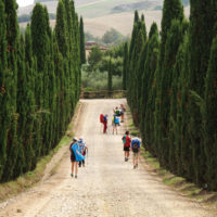 Foto di Terre di mezzo