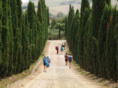 Copertina di Perché la Gen Z è ossessionata dal trekking? Dai gruppi di camminatori ai consigli su TikTok, è boom di escursioni nella Natura