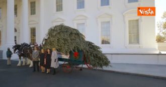 Copertina di L’ultimo albero di Natale di Melania Trump: l’abete arriva su un carro trainato da due cavalli – Video