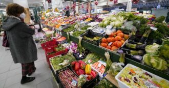 Copertina di Fungicidi e insetticidi in frutta e verdura, il report di Legambiente: “Approvare con urgenza una legge sul biologico”