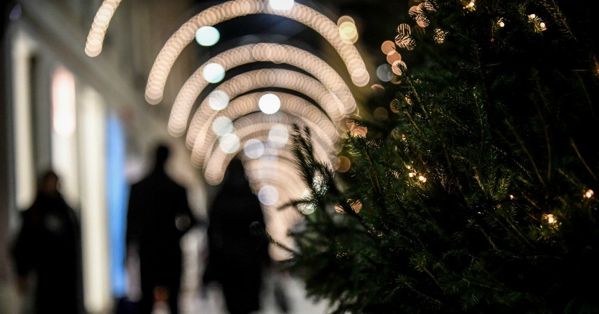 Tra luminarie e piste di ghiaccio, il Natale è diventato un luna park. E le piante soffrono