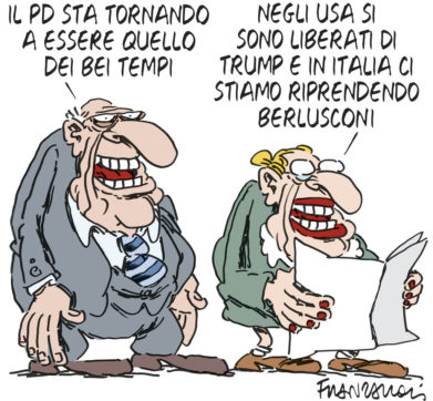 Copertina di La vignetta di Franzaroli