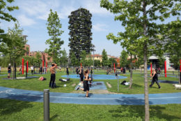 Copertina di La moda del “piantiamo alberi”: in pochi sanno dove, quali e a che servono