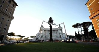 Copertina di Roma, in piazza Venezia torna “Spelacchio”. Raggi: “Abbiamo deciso di non rinunciare all’albero per dare un messaggio di speranza”