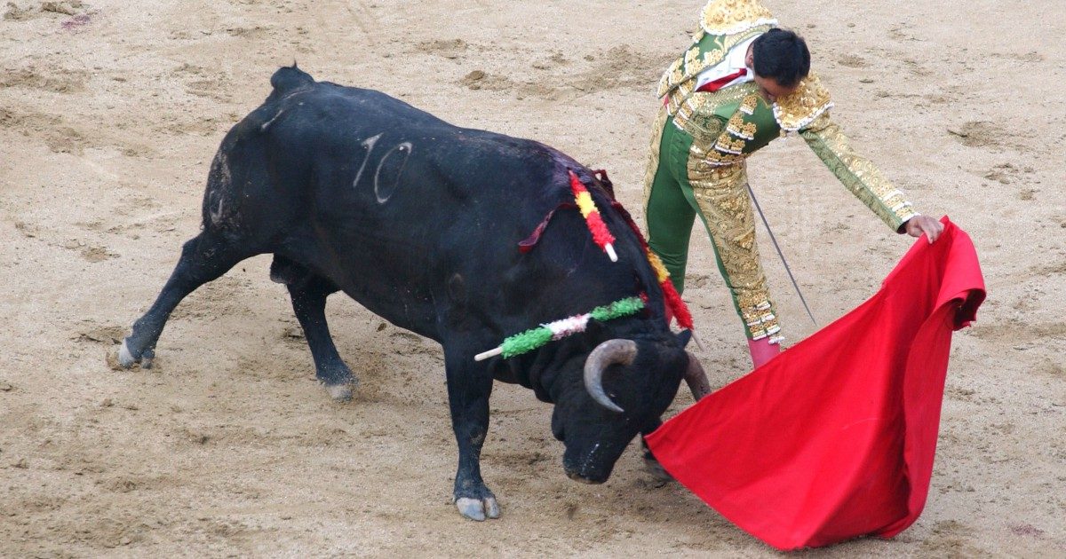 La Spagna annuncia la cancellazione del Premio nazionale per la tauromachia: così si riaccende il dibattito sulla corrida