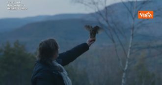 Copertina di Il gufo dell’albero di Natale del Rockefeller center di New York torna in libertà: ecco il volo di Rocky dopo le cure – Video