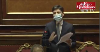 Copertina di Covid, Speranza presenta il piano vaccino al Senato: “Acquisto centralizzato e sarà somministrato gratuitamente a tutti gli italiani”