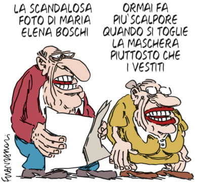 Copertina di La vignetta di Franzaroli