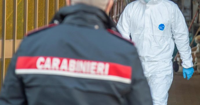 Morto in caserma dopo l’arresto, ma telecamere ko