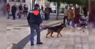 Copertina di Taranto, poliziotto prende a calci il cane del quartiere. Proteste dei cittadini: “Vergogna”