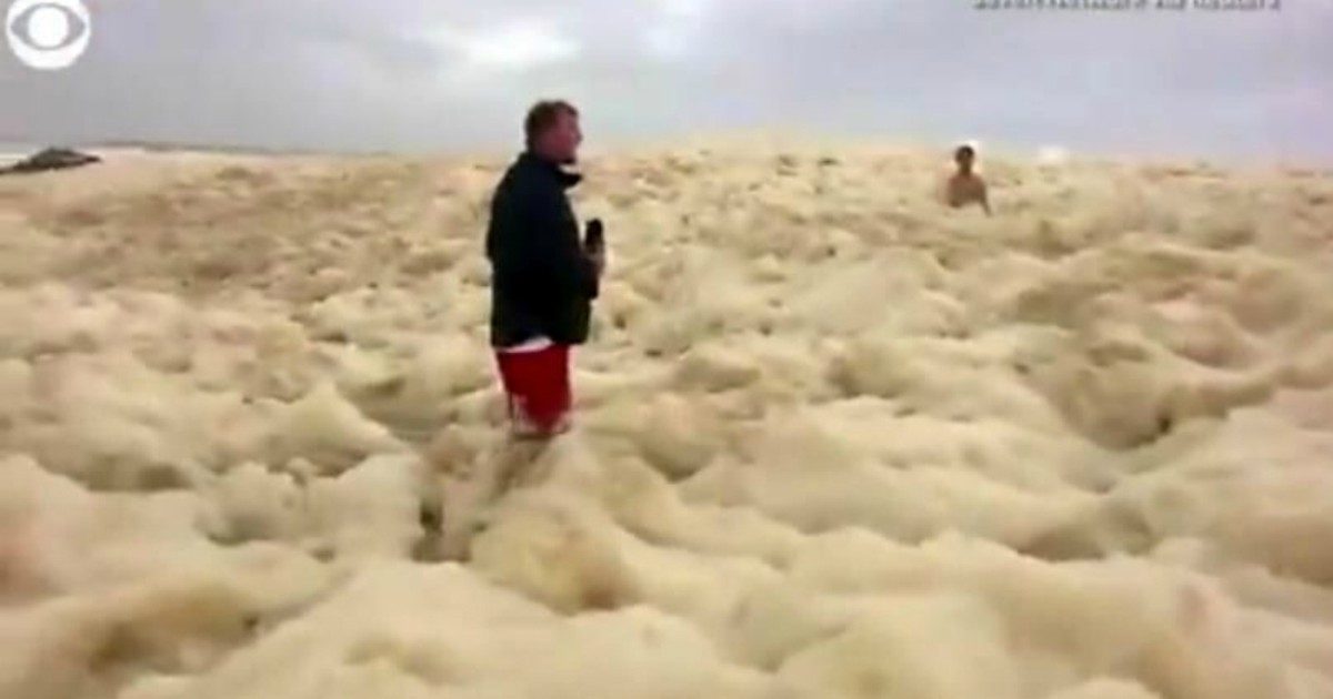 Spiagge ricoperte da una spessa schiuma, scatta l’allarme: “Attenti, pericolosi animali marini sono in agguato”