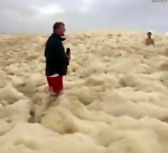 Spiagge ricoperte da una spessa schiuma, scatta l’allarme: “Attenti, pericolosi animali marini sono in agguato”