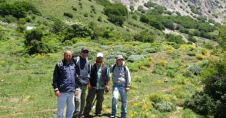 Copertina di Dai fichi bifari al melo cannamele: in Sicilia un vivaio custodisce 180 antichi alberi da frutto