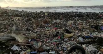 Copertina di Le spiagge di Bali sono invase dalla plastica. “Abbiamo raccolto 90 tonnellate di rifiuti, la situazione peggiora ogni anno”