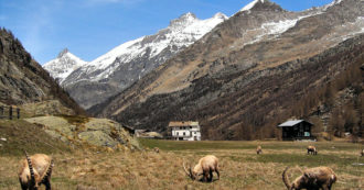 Fridays For Future: vietato salire sul Gran Paradiso, divenga una montagna sacra