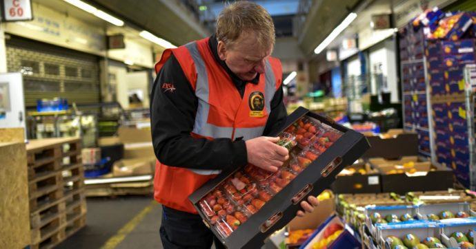 Frutti di mare bloccati alla dogana e scaffali vuoti nei supermercati: gli effetti di Brexit in Uk