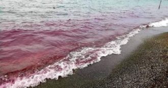 Copertina di L’acqua del lago di Bracciano è diventata rossa: il Parco esclude la presenza di alghe tossiche
