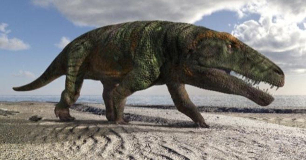 Val Maira, scoperti sulle Alpi le impronte di una nuova specie di dinosauro: è vissuto 250 milioni di anni fa