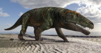 Copertina di Val Maira, scoperti sulle Alpi le impronte di una nuova specie di dinosauro: è vissuto 250 milioni di anni fa