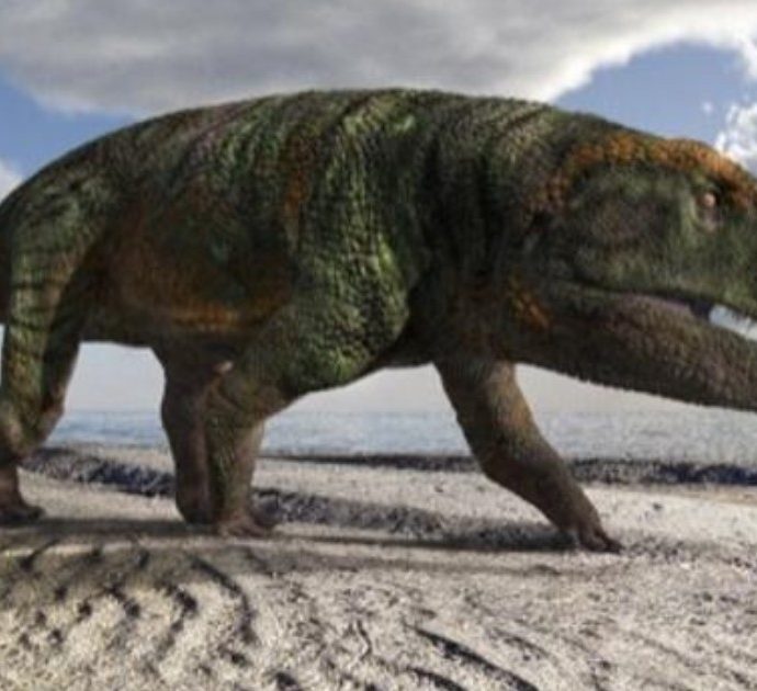 Val Maira, scoperti sulle Alpi le impronte di una nuova specie di dinosauro: è vissuto 250 milioni di anni fa