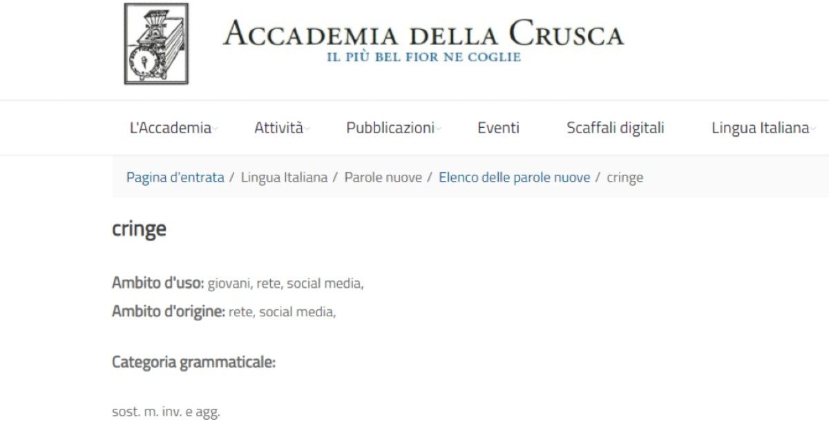 “Cringe” diventa una parola italiana, arriva la “certificazione” dell’Accademia della Crusca. Ecco perché e cosa significa