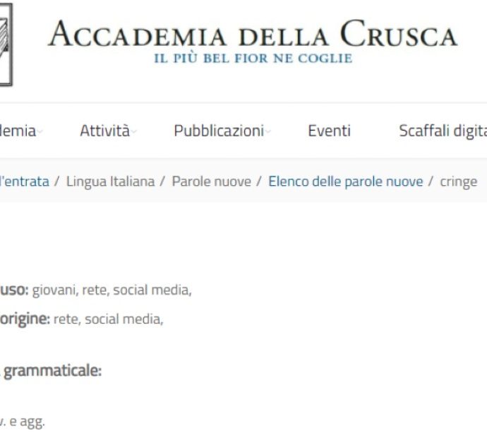 “Cringe” diventa una parola italiana, arriva la “certificazione” dell’Accademia della Crusca. Ecco perché e cosa significa