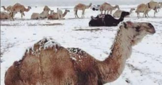 Copertina di Meteo impazzito, nel deserto del Sahara arriva la neve. E in Arabia Saudita le temperature vanno sottozero – FOTO