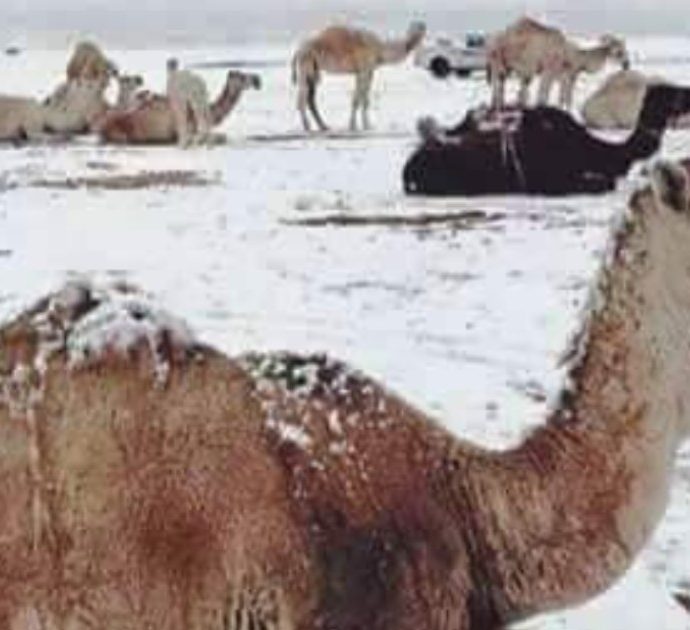 Meteo impazzito, nel deserto del Sahara arriva la neve. E in Arabia Saudita le temperature vanno sottozero – FOTO