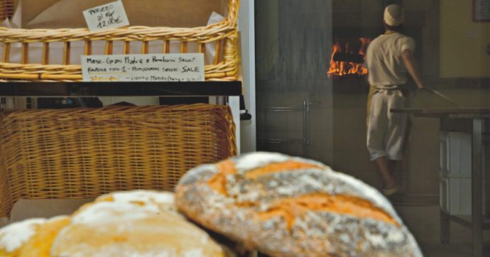 Si porta a casa del pane destinato al macero. L’azienda lo licenza per “motivi disciplinari”