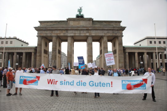 Non bastava il virus: i tedeschi hanno un problema con i nazionalisti di destra