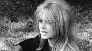 Copertina di Brigitte Bardot: “Il covid-19 è un bene, regola la sovrappopolazione”
