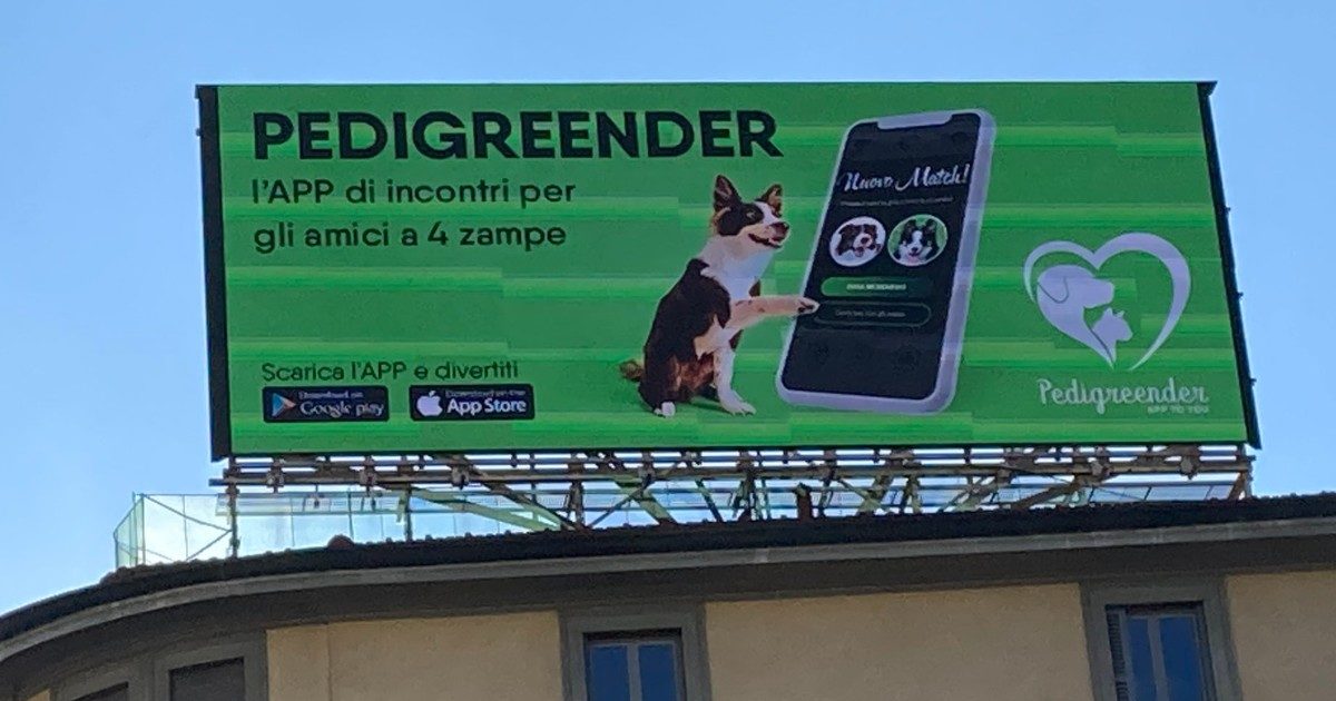 Pedigreender, cos’è e come funziona la nuova app di incontri per cani e gatti