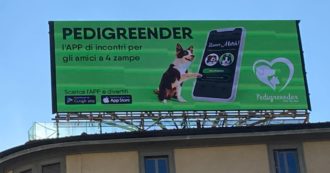 Copertina di Pedigreender, cos’è e come funziona la nuova app di incontri per cani e gatti