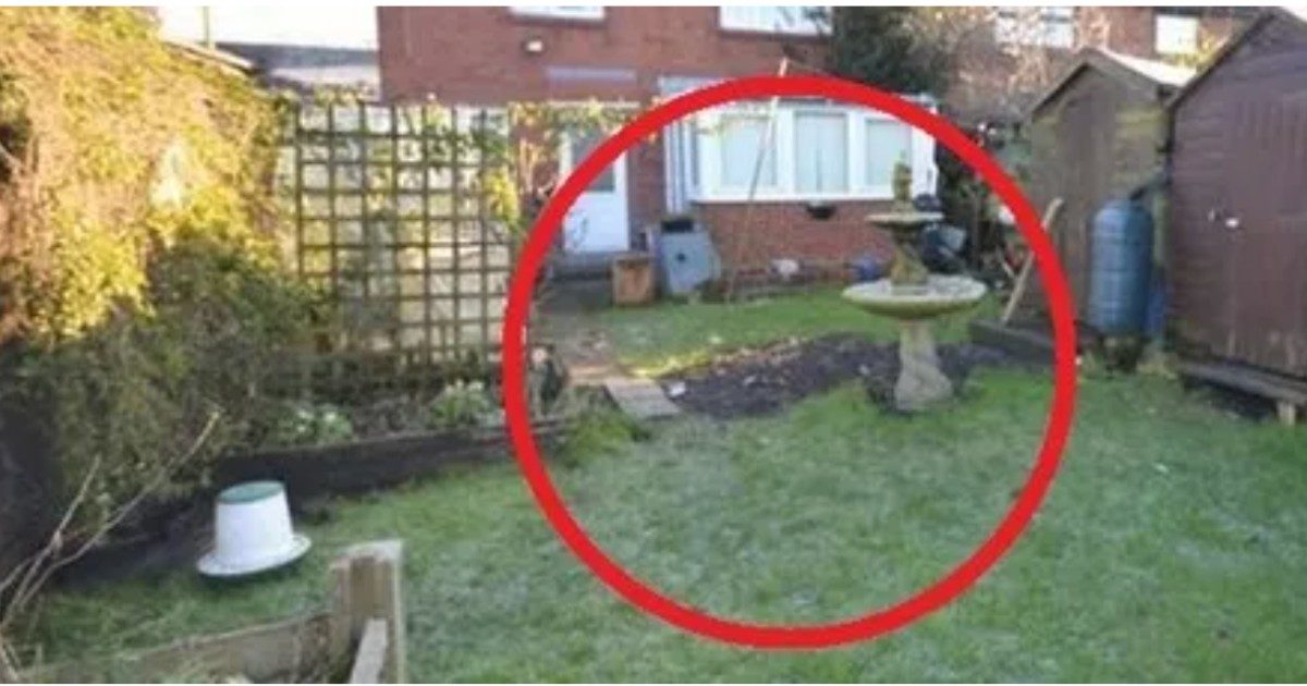 “C’è poi un cadavere nel giardino della casa”: il macabro dettaglio nell’annuncio immobiliare