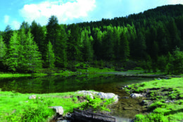 Copertina di Il prof Pileri: “Cementifichiamo due metri quadri al secondo, serve una legge”