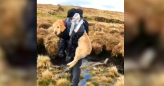 Trovano un golden retriever che si è perso sui monti e lo salvano dal congelamento – Video