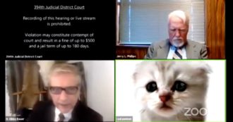 “Sono io vostro onore, non sono un gatto”, l’avvocato non riesce a togliere il filtro ‘gattino’ di Zoom. Il video dell’udienza è esilarante