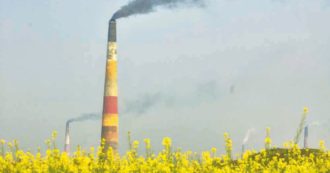 Copertina di Falsi e ingannevoli la metà degli slogan ambientali sul Web