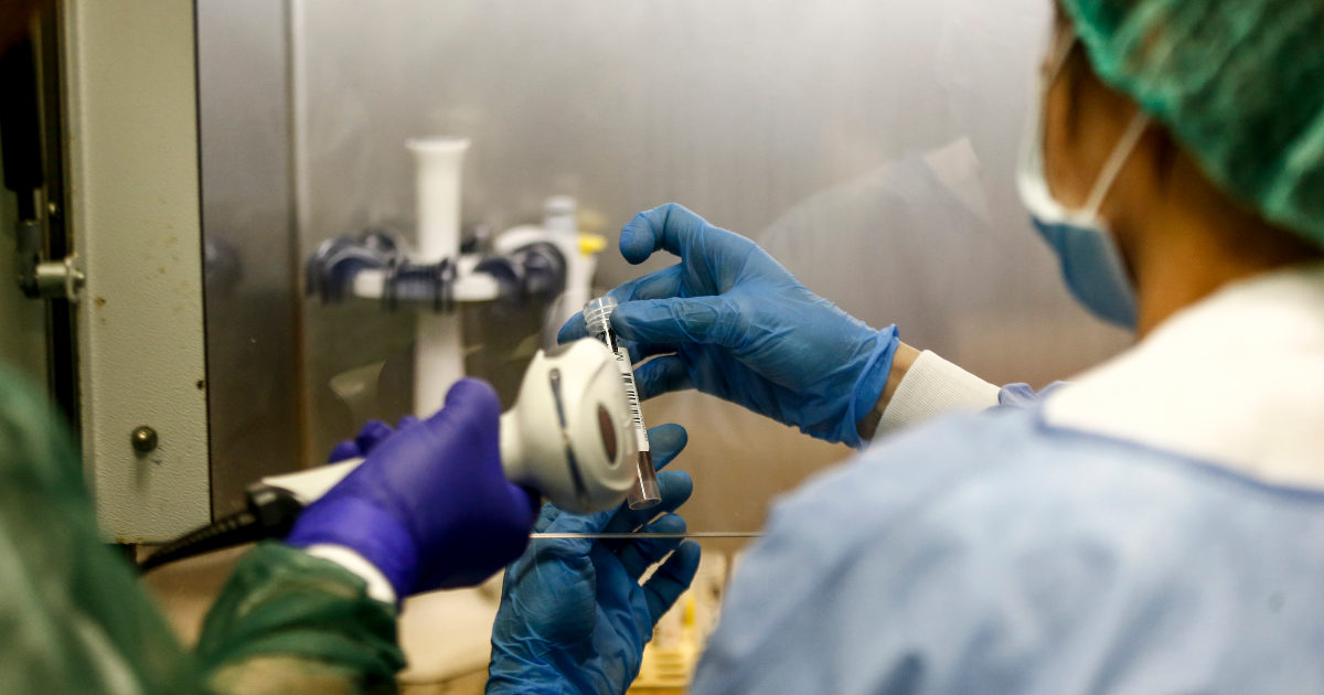 Variante inglese, il Cnr: “Nel centro Italia è già presente nel 40-50% dei casi. Senza misure in un mese e mezzo sostituirà il ceppo standard”