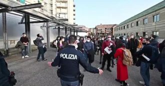 Copertina di Milano, arrestati un’ex infermiera e il suo compagno: producevano droghe sintetiche ricavandole dalla radice di mimosa