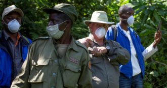 Copertina di Non solo gorilla: i Ranger da eroi a soldati con l’AK