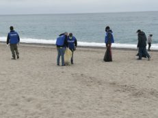 Copertina di Il mare d’inverno: al lavoro per ripulire le “terre dei fuochi” sulle nostre spiagge