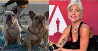 Copertina di Sparò al dogsitter di Lady Gaga per rubare il cane della popstar: condannato a 21 anni di carcere