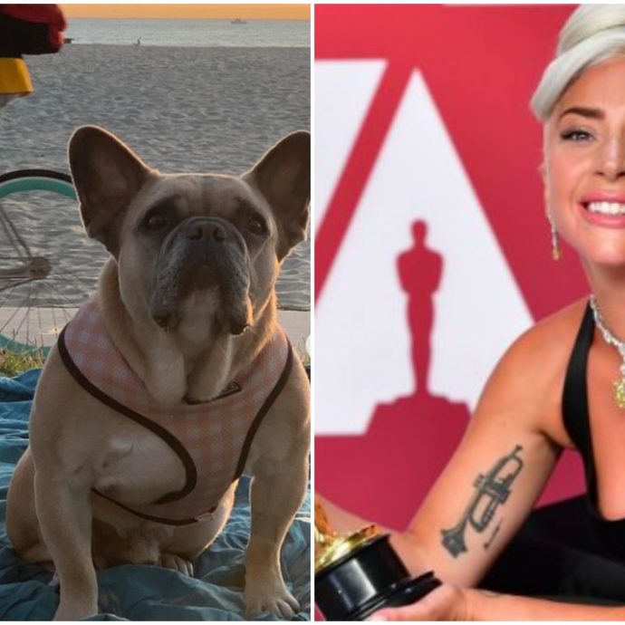 I cani di Lady Gaga sono salvi: una donna misteriosa li ha consegnati alla polizia di Los Angeles