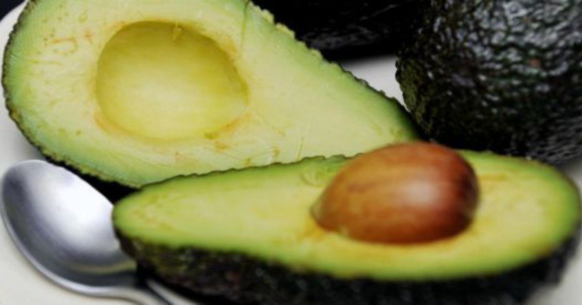 L’avocado e il grasso addominale: è davvero la soluzione contro la “pancetta”?