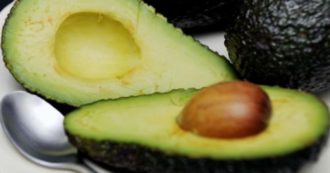 Copertina di L’avocado e il grasso addominale: è davvero la soluzione contro la “pancetta”?