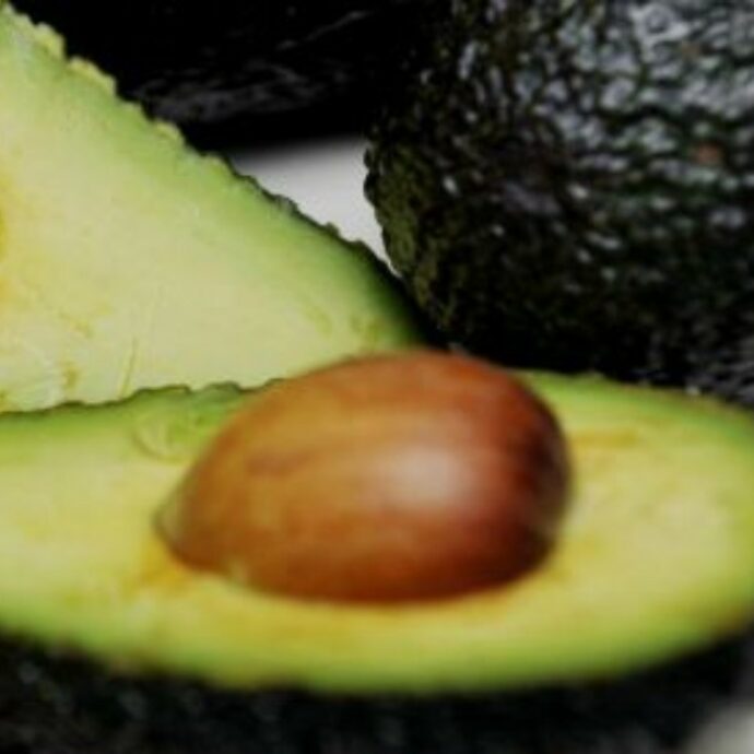 “Possibile presenza di botulino”: il Ministero della Salute richiama lotti di polpa di avocado dopo l’intossicazione alla festa di paese