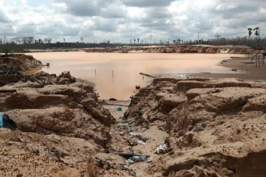 Copertina di Deforestazione e sfruttamento minerario: la strage silenziosa degli attivisti per l’ambiente