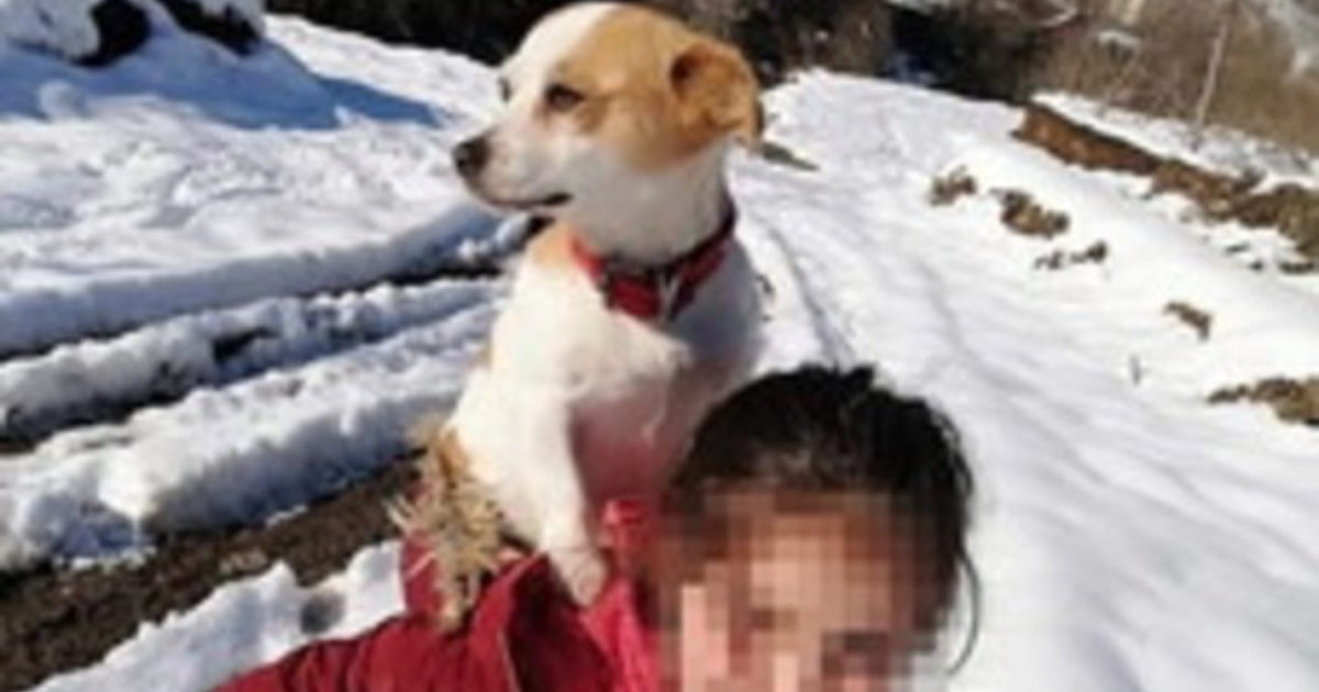 Il cane sta male: bimba di 9 anni se lo carica in spalla e percorre chilometri a piedi nella neve per cercare aiuto